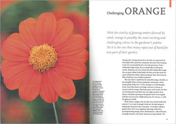 "Orange" chapter opener