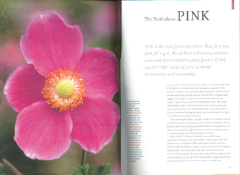 "Pink" chapter opener