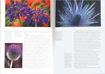 purple themed spread