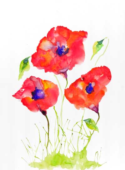 Poppies #1